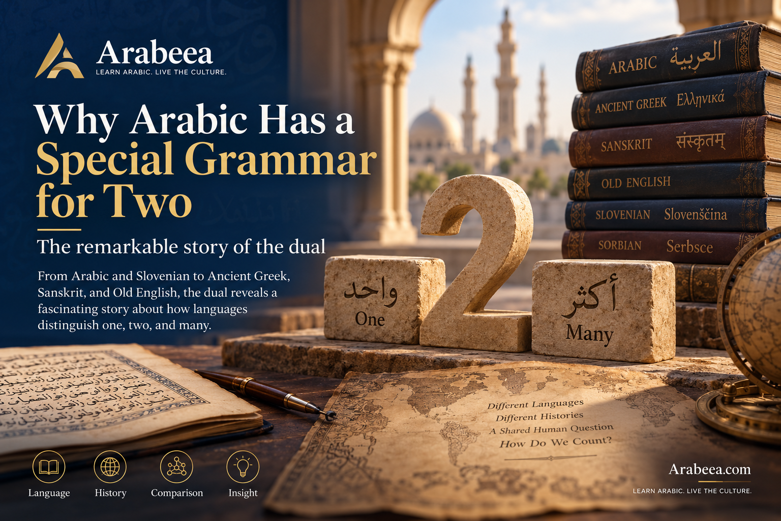 Arabic dual form compared with singular and plural across different languages